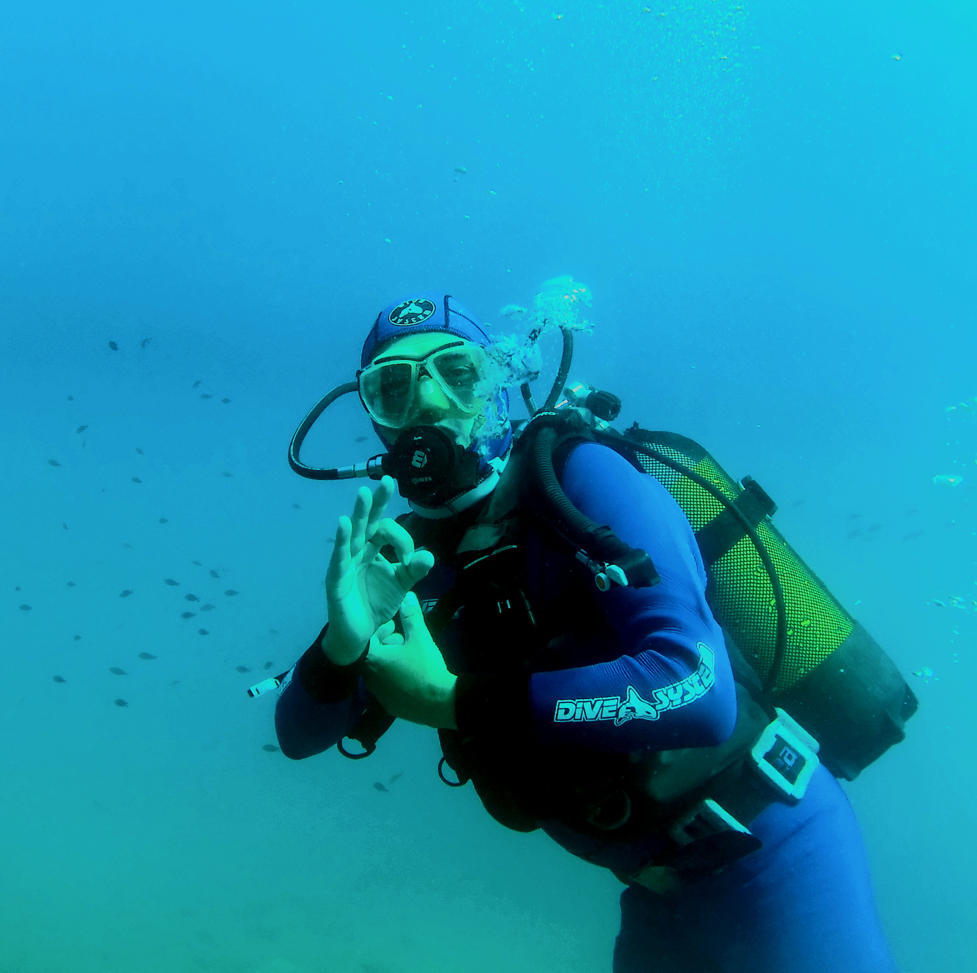 Isolotto dello Sparviero (Grosseto)